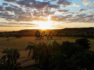 Imagem 1 · Fazenda