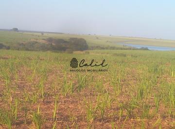 Imagem 1 · Fazenda