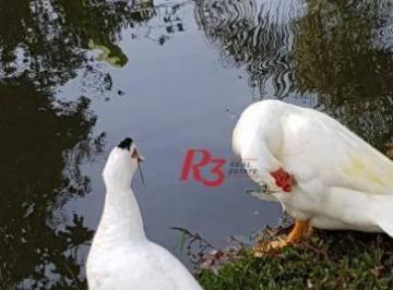 Imagem 1 · Chácara