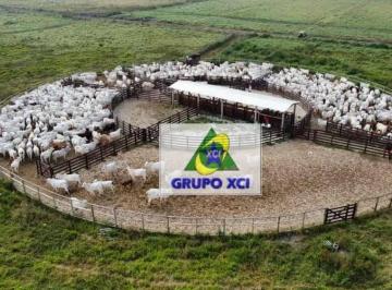 Imagem 1 · Fazenda