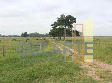 Imagem 1 · Fazenda