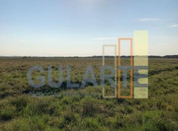 Imagem 1 · Fazenda