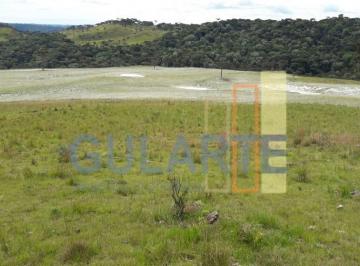 Imagem 1 · Fazenda