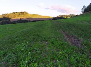 Imagem 1 · Fazenda