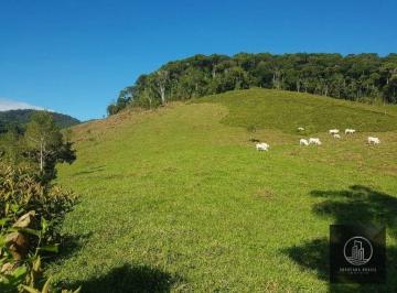 Imagem 1 · Fazenda