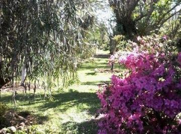 Imagem 1 · Fazenda