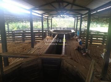 Imagem 1 · Fazenda