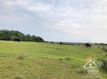 Imagem 1 · Fazenda