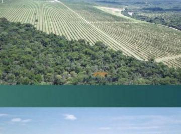 Imagem 1 · Fazenda