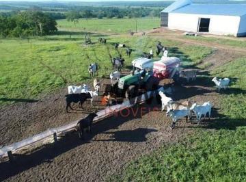 Imagem 1 · Fazenda