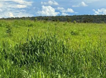 Imagem 1 · Fazenda