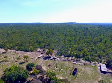 Imagem 1 · Fazenda