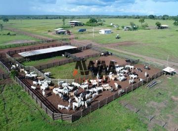 Imagem 1 · Fazenda