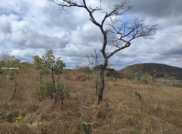 Imagem 1 · Fazenda