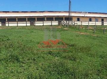 Imagem 1 · Fazenda