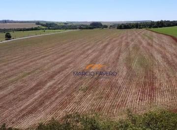 Imagem 1 · Fazenda para venda em Itaí