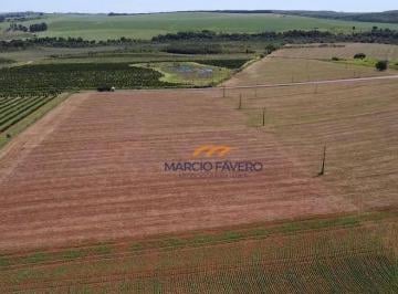 Imagem 1 · Fazenda