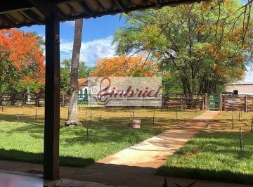 Imagem 1 · Fazenda