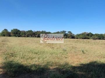 Imagem 1 · Fazenda