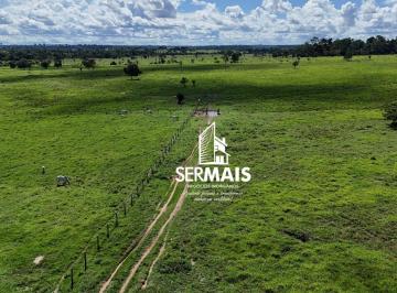 Imagem 1 · Fazenda