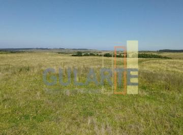Imagem 1 · Fazenda