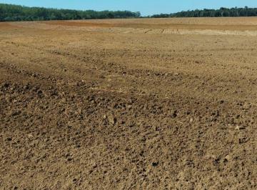 Imagem 1 · Fazenda
