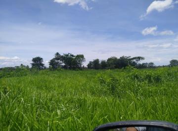 Imagem 1 · Fazenda