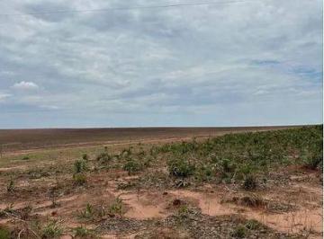 Imagem 1 · Fazenda