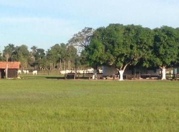 Imagem 1 · Fazenda