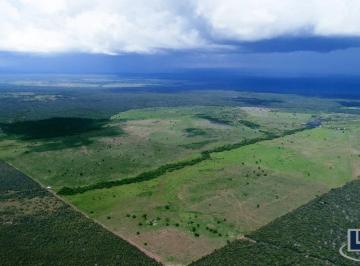 Imagem 1 · Fazenda