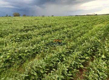 Imagem 1 · Fazenda