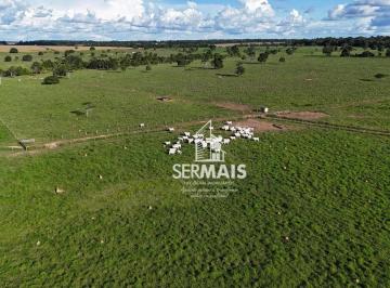 Imagem 1 · Fazenda