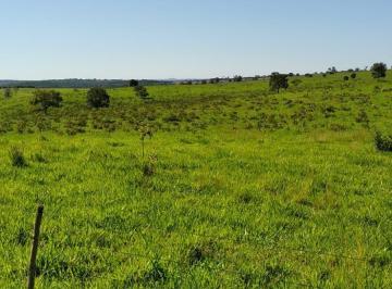 Imagem 1 · Fazenda