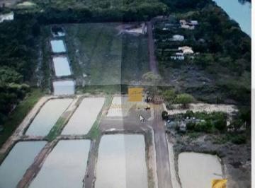 Imagem 1 · Fazenda