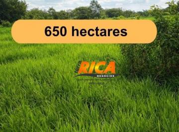 Imagem 1 · Fazenda