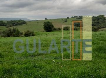 Imagem 1 · Fazenda
