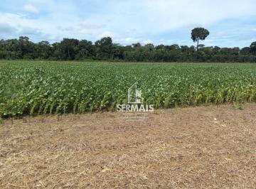 Imagem 1 · Fazenda