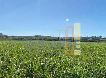 Imagem 1 · Fazenda