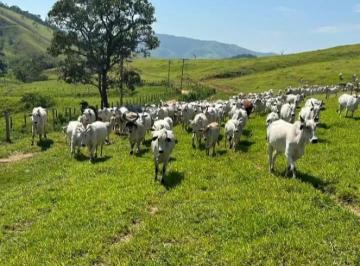 Imagem 1 · Fazenda