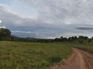 Imagem 1 · Fazenda