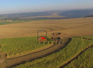 Imagem 1 · Fazenda