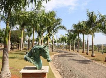 Imagem 1 · Fazenda