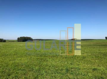 Imagem 1 · Fazenda