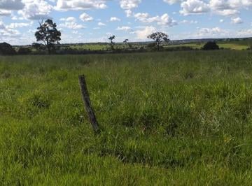 Imagem 1 · Fazenda