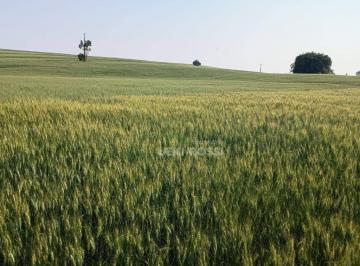 Imagem 1 · Fazenda