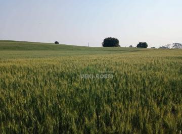 Imagem 1 · Fazenda