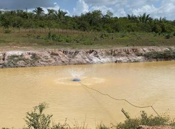Imagem 1 · Fazenda