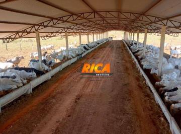 Imagem 1 · Fazenda