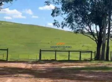 Imagem 1 · Fazenda