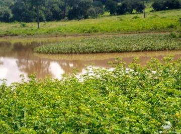Imagem 1 · Fazenda